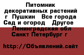 Питомник декоративных растений г. Пушкин - Все города Сад и огород » Другое   . Ленинградская обл.,Санкт-Петербург г.